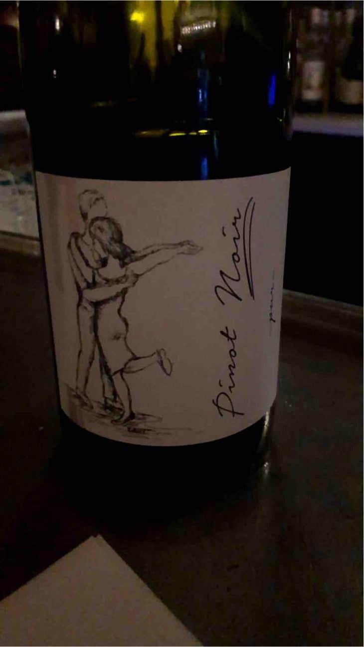 Pinot Noir Pur - Brand Bros - Weingut Brand - Daniel & Jonas Brand 