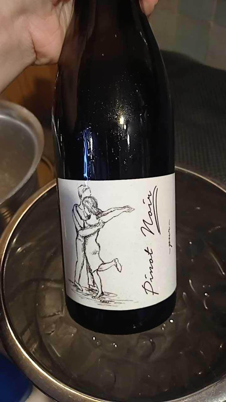 Pinot Noir Pur - Brand Bros - Weingut Brand - Daniel & Jonas Brand 
