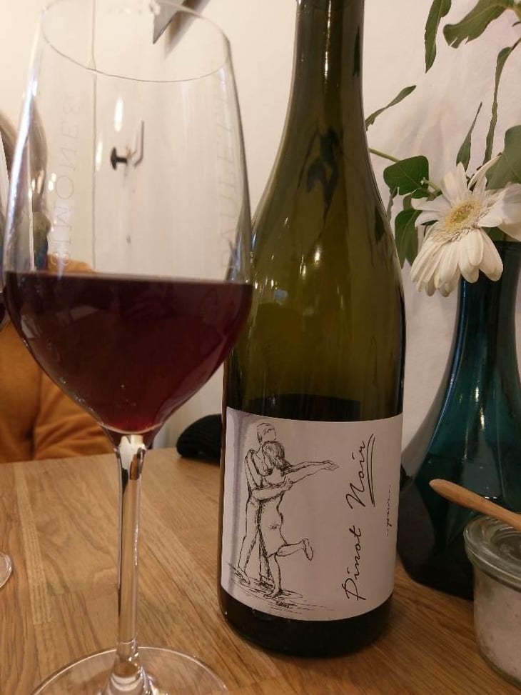Pinot Noir Pur - Brand Bros - Weingut Brand - Daniel & Jonas Brand 