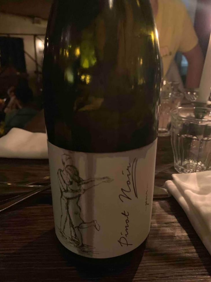 Pinot Noir Pur - Brand Bros - Weingut Brand - Daniel & Jonas Brand 