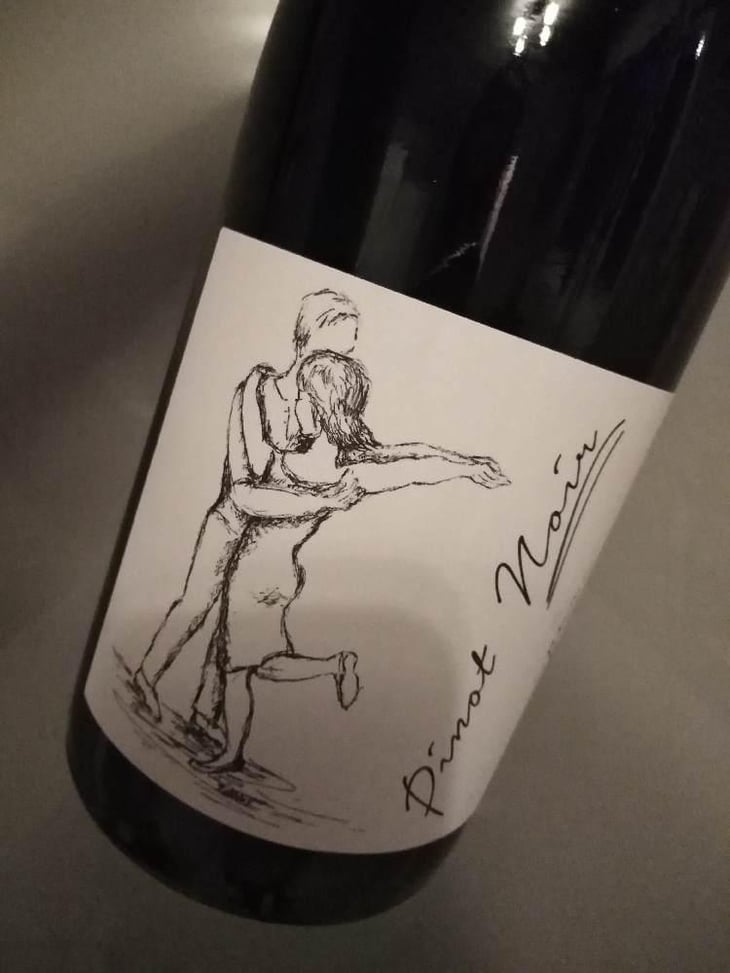 Pinot Noir Pur - Brand Bros - Weingut Brand - Daniel & Jonas Brand 
