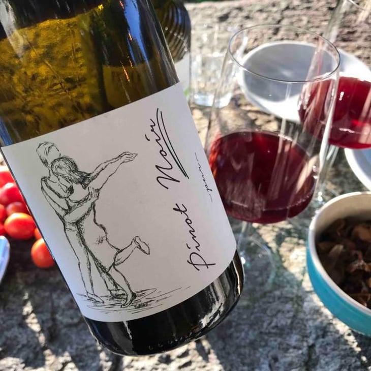 Pinot Noir Pur - Brand Bros - Weingut Brand - Daniel & Jonas Brand 