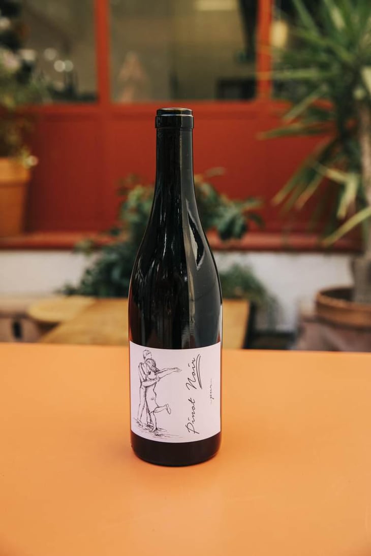 Pinot Noir Pur - Brand Bros - Weingut Brand - Daniel & Jonas Brand 