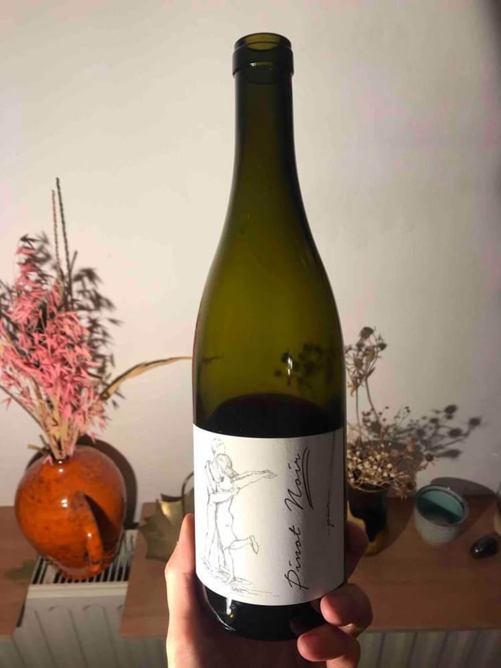 Pinot Noir Pur - Brand Bros - Weingut Brand - Daniel & Jonas Brand 