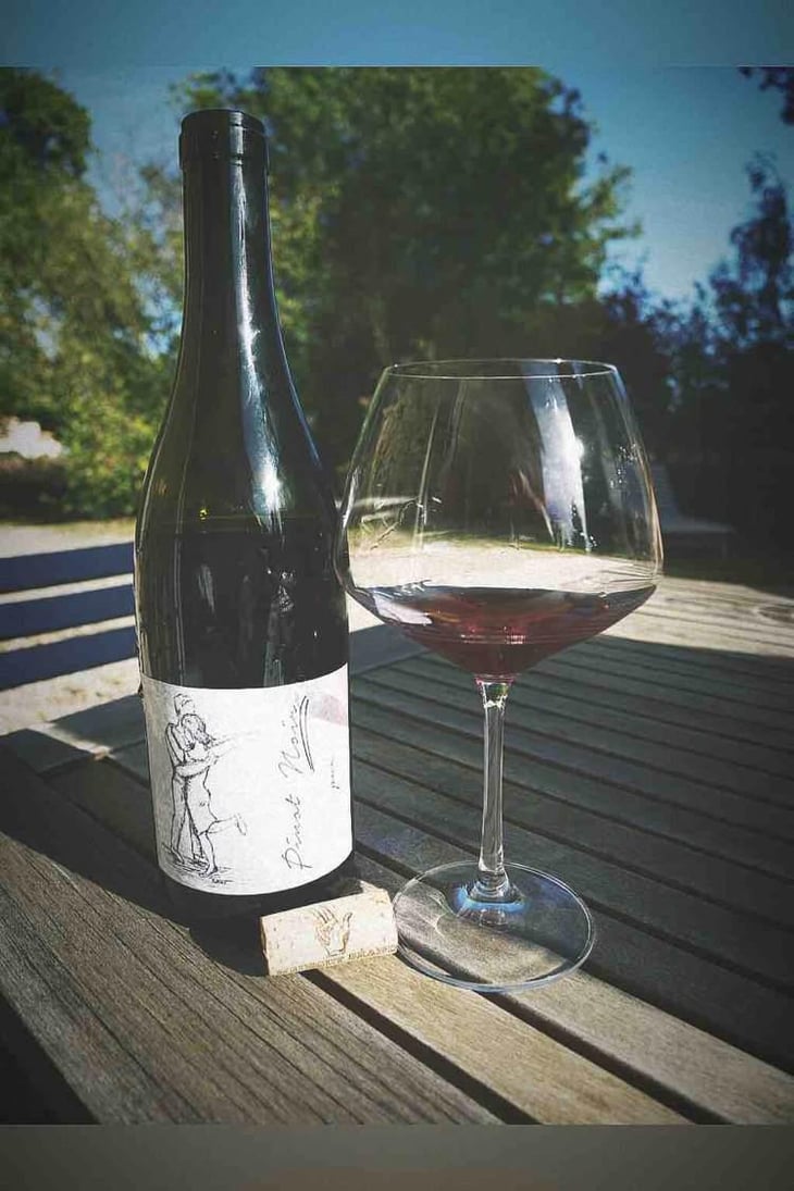 Pinot Noir Pur - Brand Bros - Weingut Brand - Daniel & Jonas Brand 