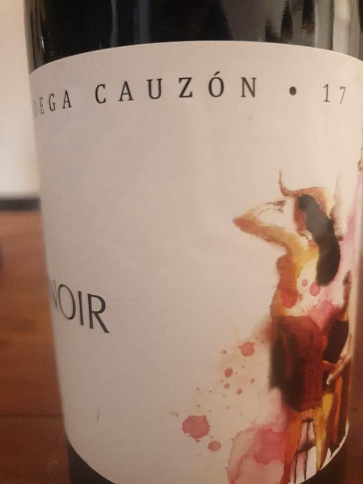 Pinot Noir - Bodega Cauzon - Ramón Saavedra 