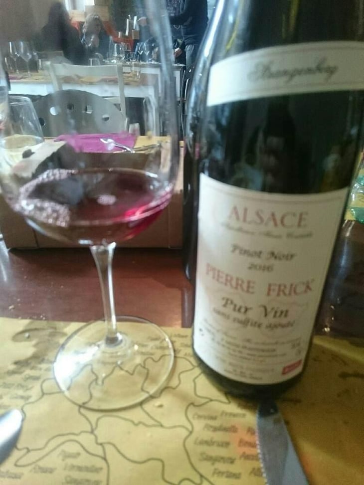 Pinot Noir - Domaine Pierre Frick - Jean-Pierre, Chantal et Thomas Frick 
