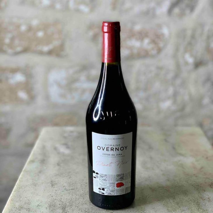 Pinot Noir - Domaine Overnoy - Guillaume Overnoy 