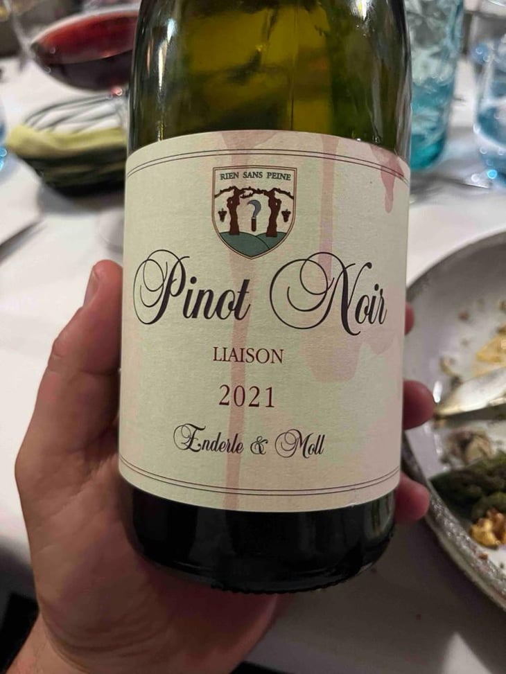Pinot Noir - Enderle & Moll - Florian Moll & Max Lecat 