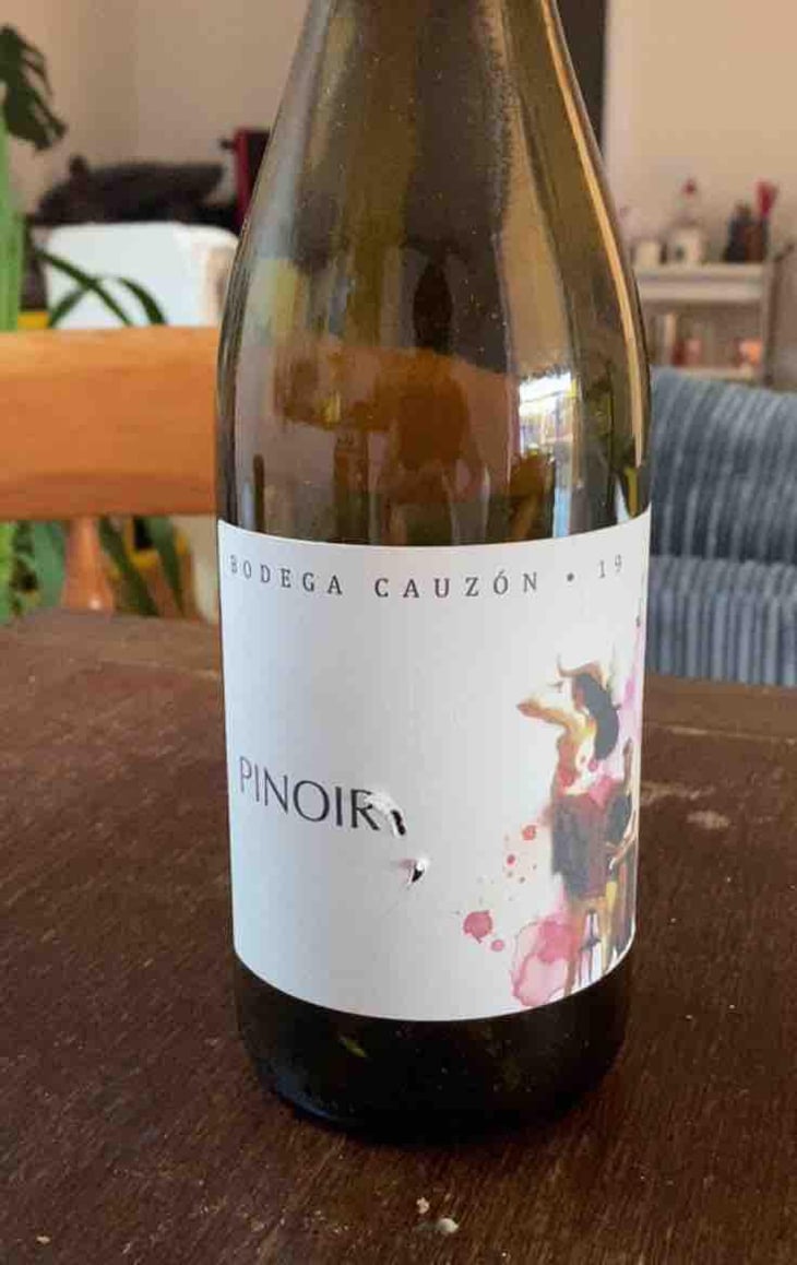 Pinot Noir - Bodega Cauzon - Ramón Saavedra 