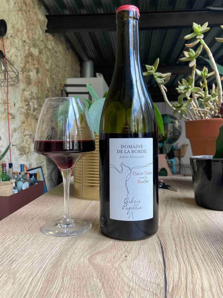 Pinot Noir Sous La Roche - Domaine de la Borde - Julien Mareschal 