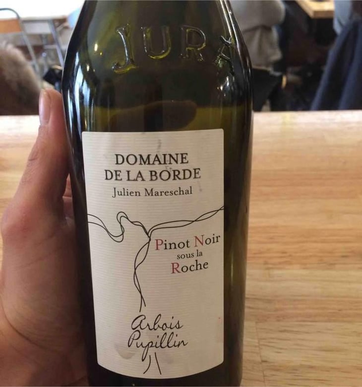 Pinot Noir Sous La Roche - Domaine de la Borde - Julien Mareschal 