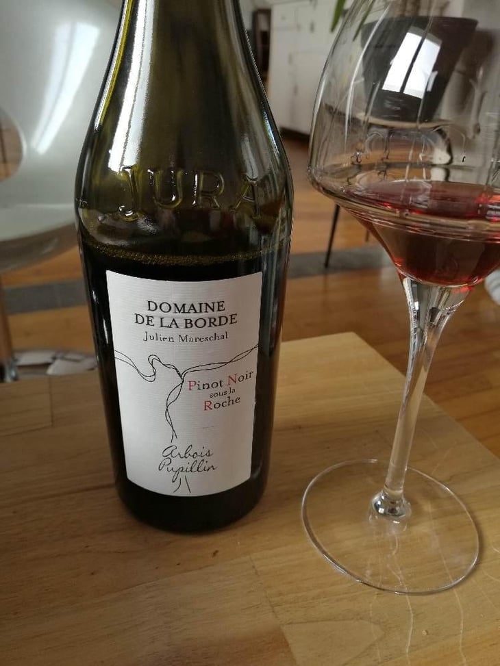 Pinot Noir Sous La Roche - Domaine de la Borde - Julien Mareschal 