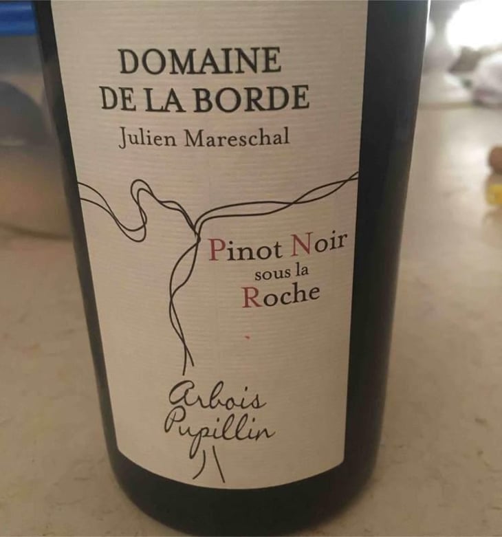 Pinot Noir Sous La Roche - Domaine de la Borde - Julien Mareschal 