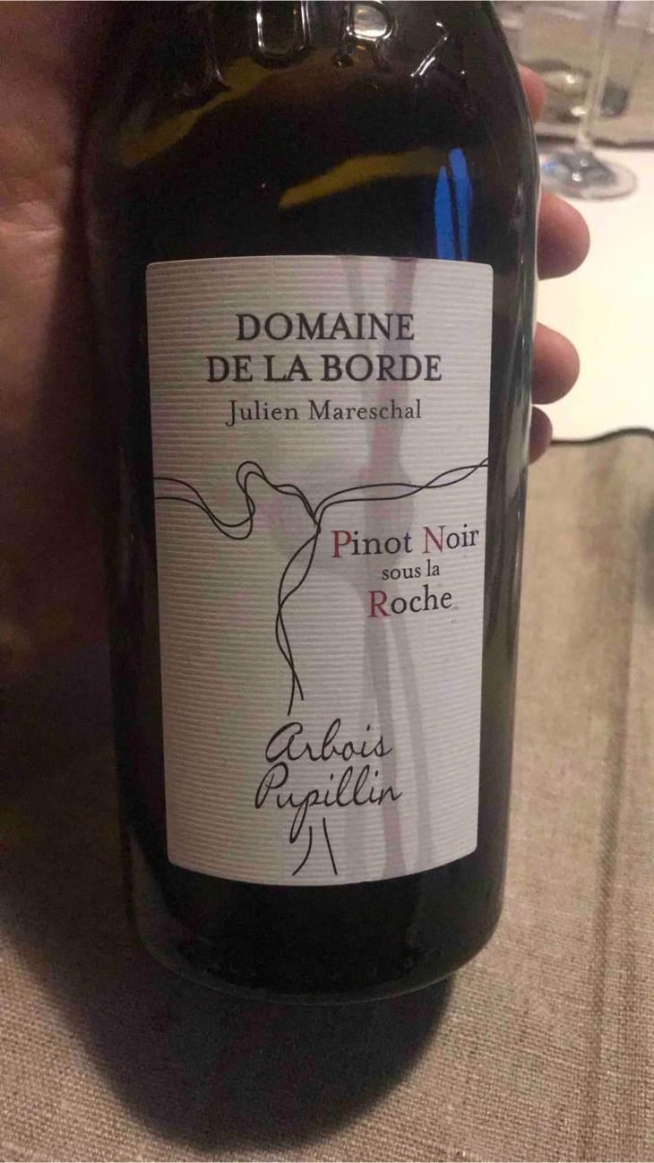Pinot Noir Sous La Roche - Domaine de la Borde - Julien Mareschal 