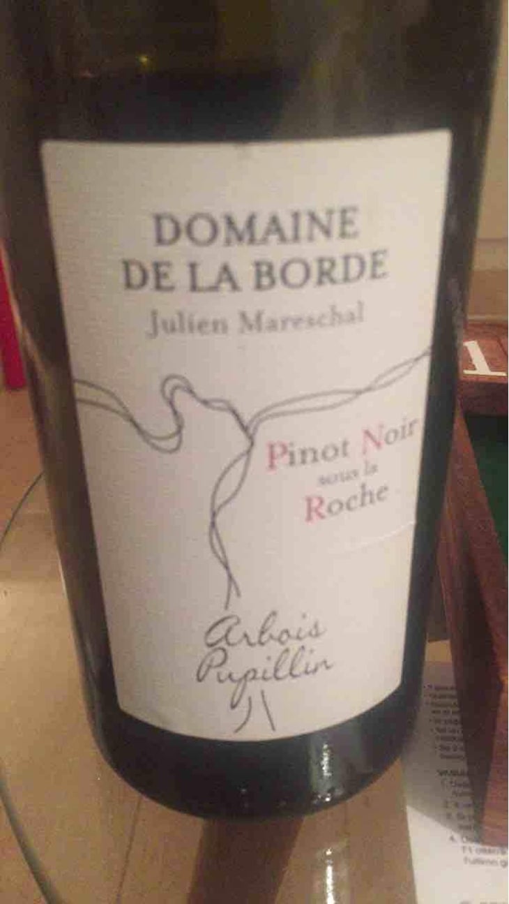 Pinot Noir Sous La Roche - Domaine de la Borde - Julien Mareschal 