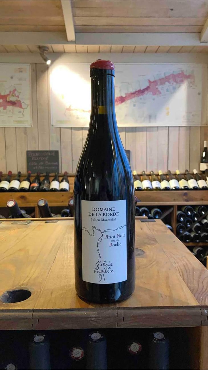 Pinot Noir Sous La Roche - Domaine de la Borde - Julien Mareschal 