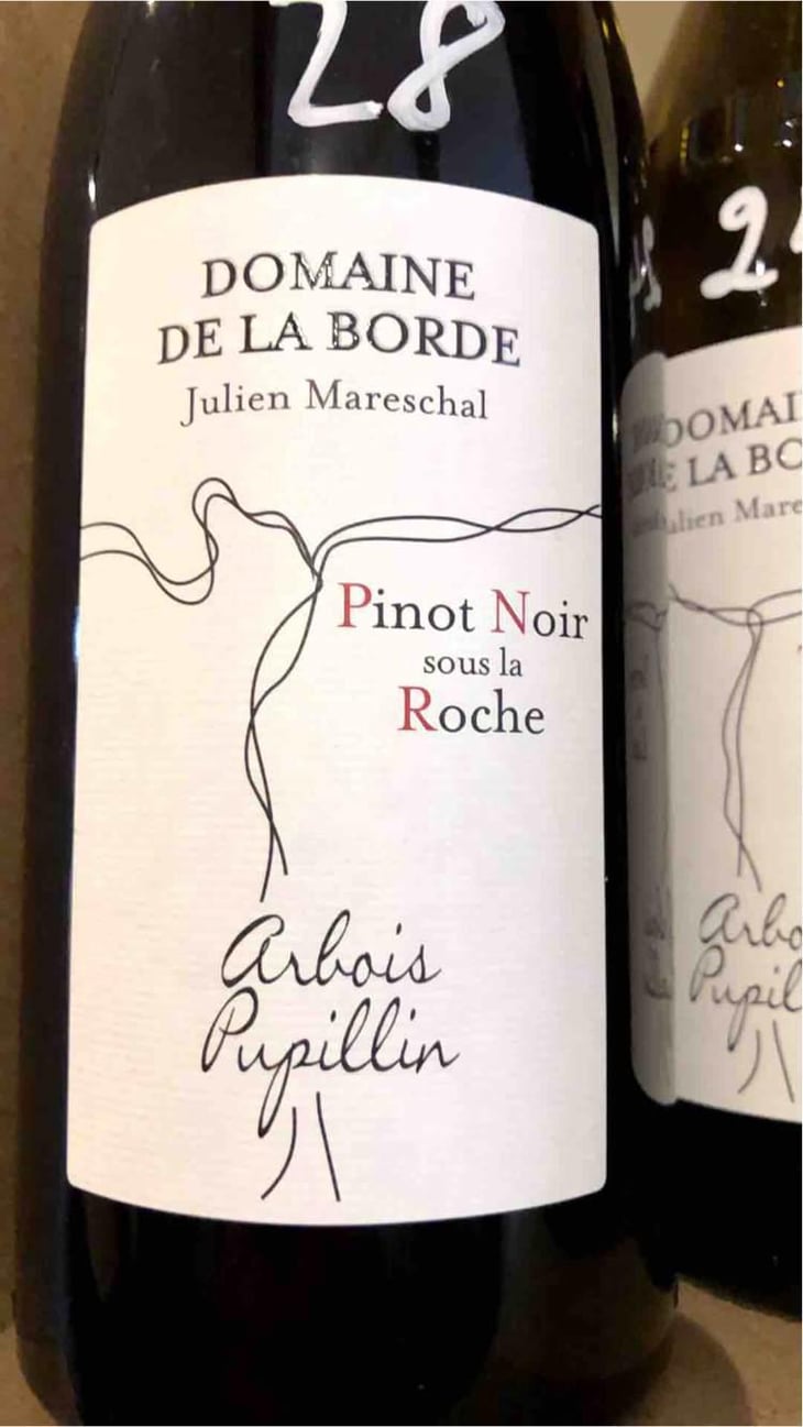 Pinot Noir Sous La Roche - Domaine de la Borde - Julien Mareschal 