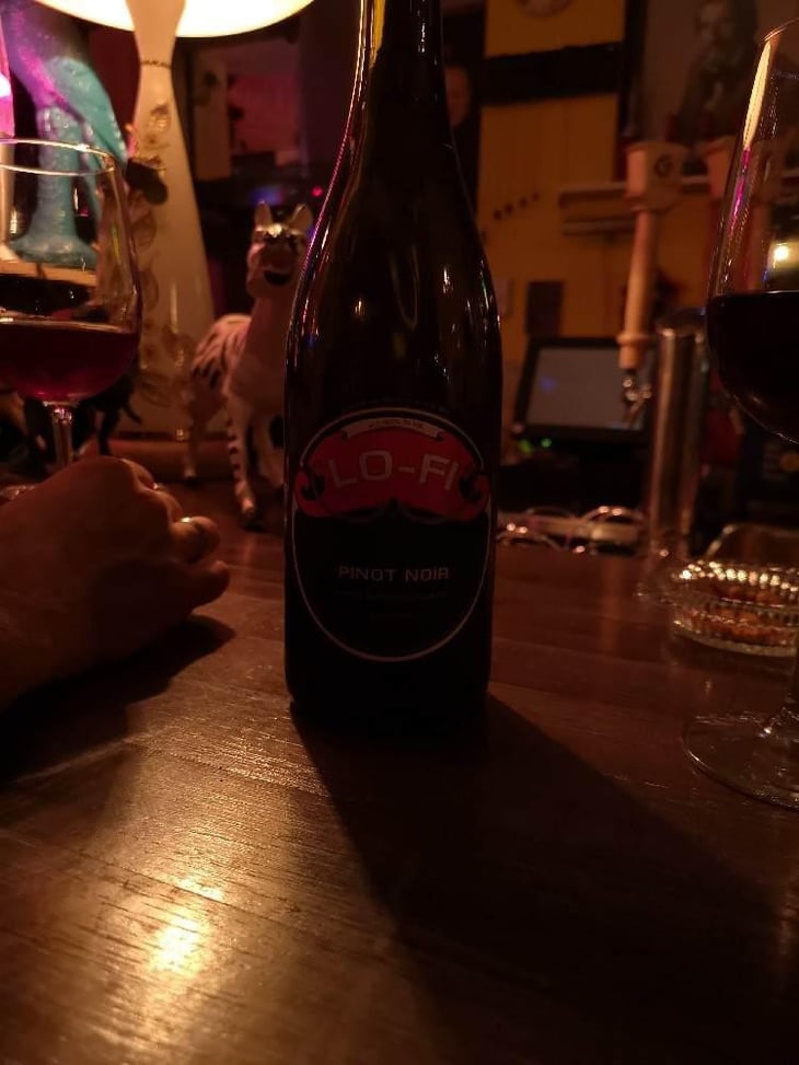 Pinot Noir Spear Vineyard - Lo-Fi Wines - Mike Roth & Craig Winchester 