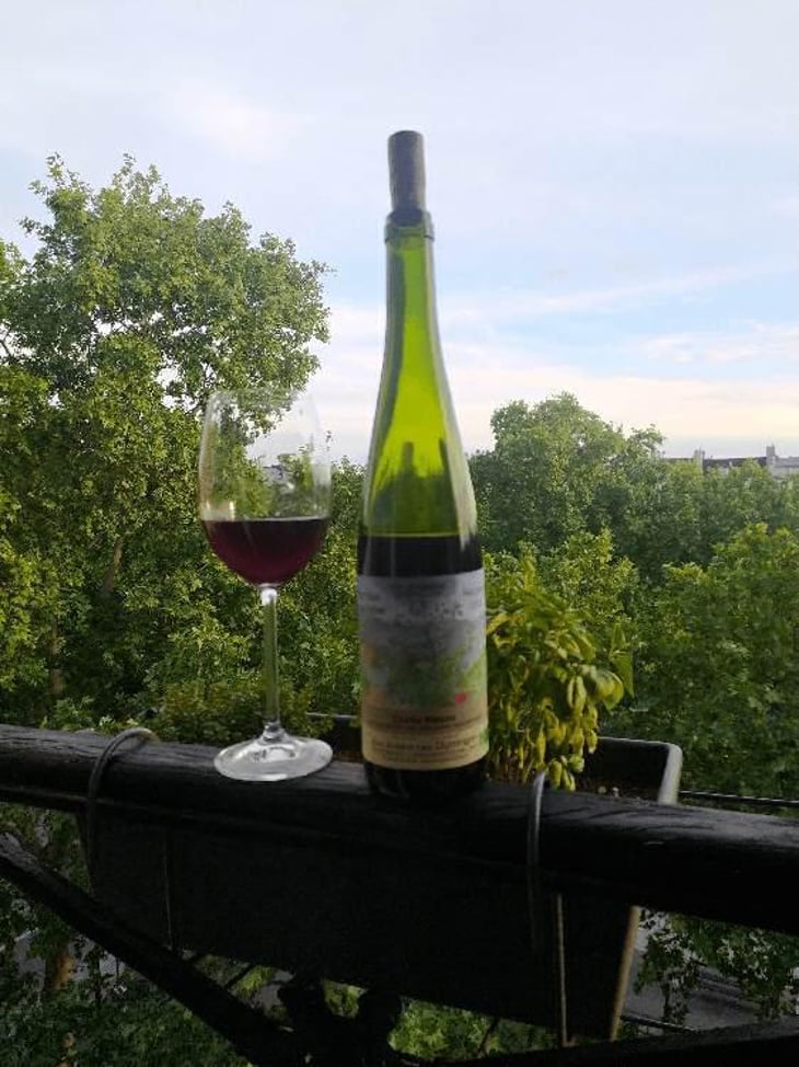 Pinot Noir Sur Schistes - Anna, André & Yann Durrmann - Anna, André & Yann Durrmann 