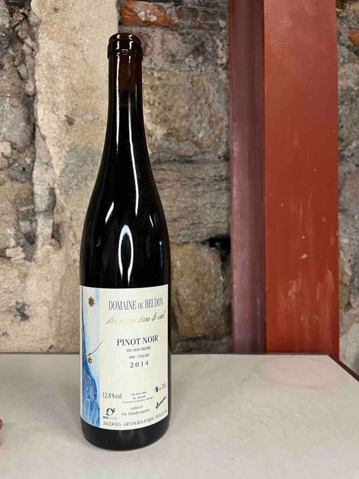 Pinot Noir - Domaine de Beudon - Marion Granges-Fayss 