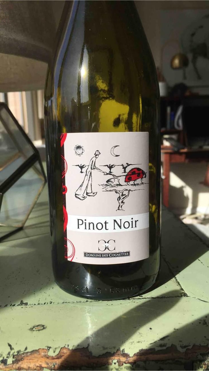 Pinot Noir - Domaine Des Cognettes - Stéphane & Vincent Perraud 