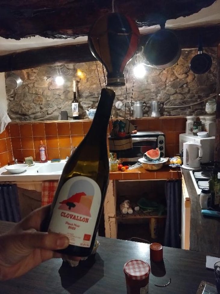 Pinot Noir (new label) - Domaine de Clovallon - Alix Roque -2021