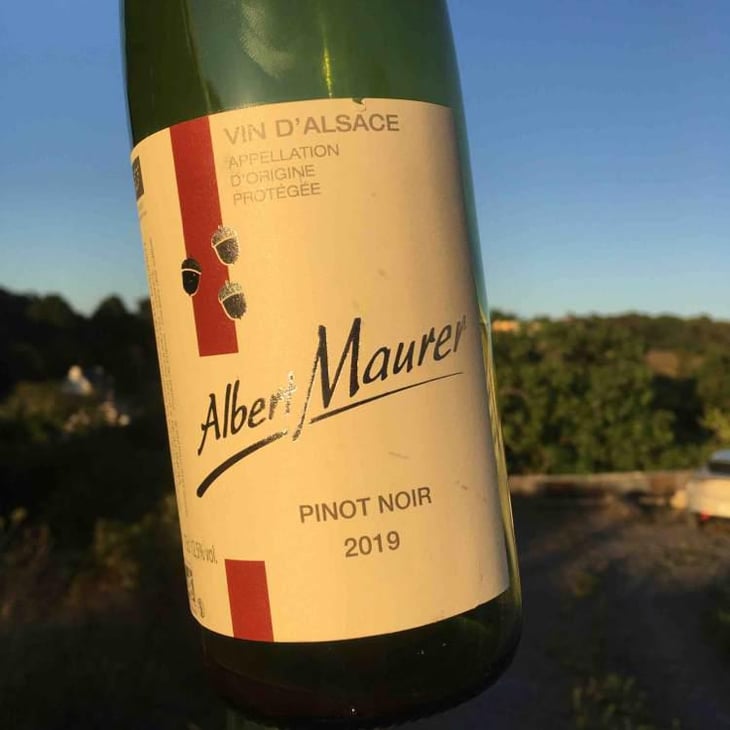 Pinot Noir - Albert Maurer - Philippe & Peggy Maurer 