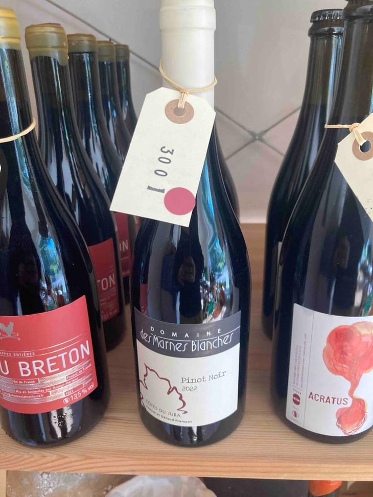 Pinot Noir - Domaine Des Marnes Blanches - Pauline & Géraud Fromont 