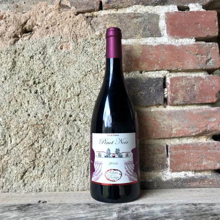 Pinot Noir - Domaine de l'Ocre Rouge - Aymeric & Marceline Beaufort 
