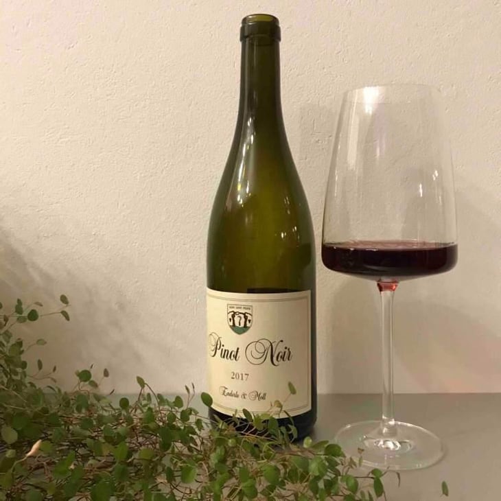 Pinot Noir - Enderle & Moll - Florian Moll & Max Lecat 