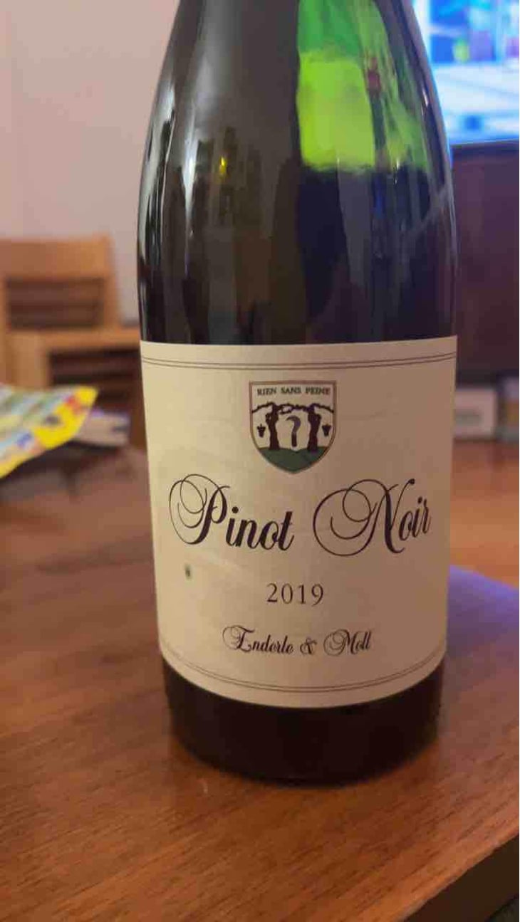 Pinot Noir - Enderle & Moll - Florian Moll & Max Lecat 