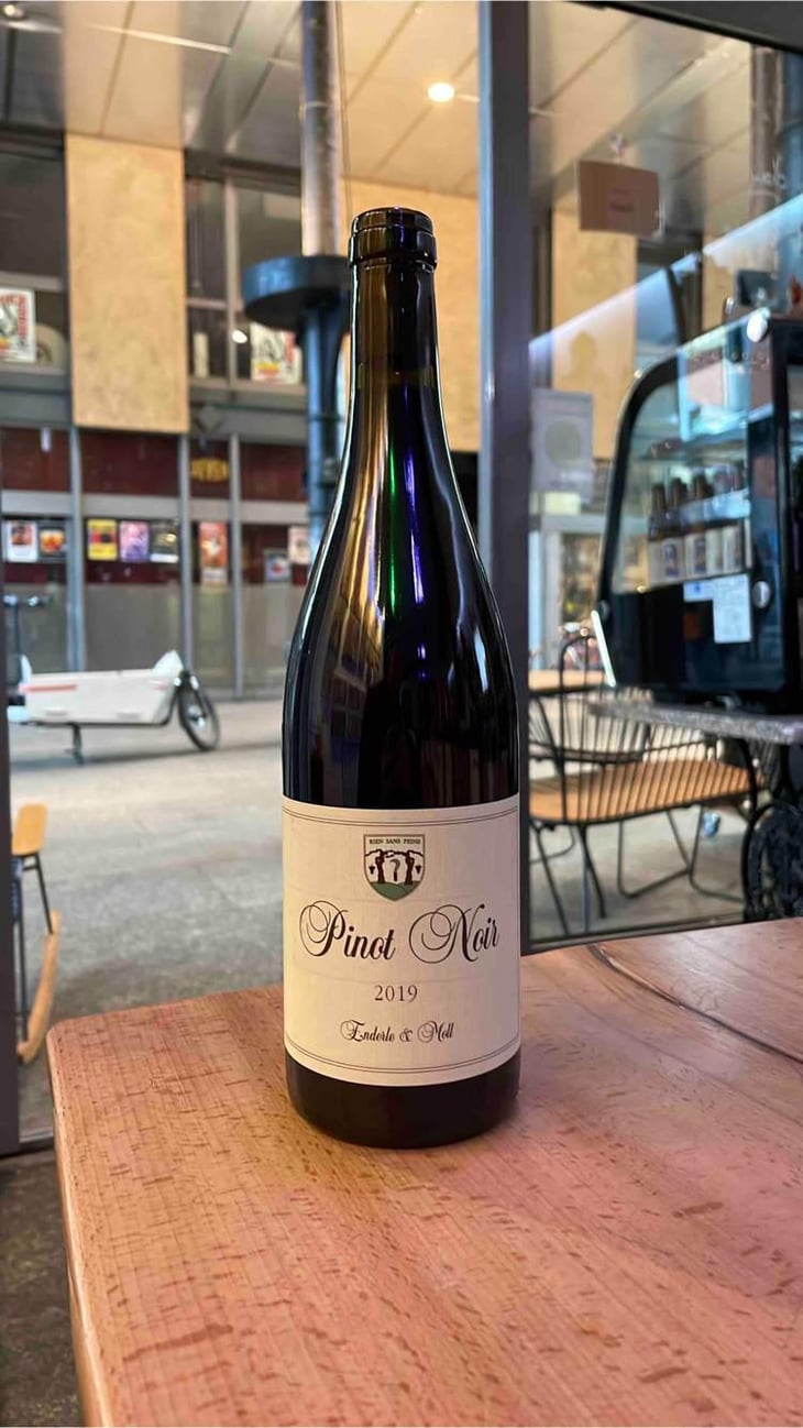 Pinot Noir - Enderle & Moll - Florian Moll & Max Lecat 