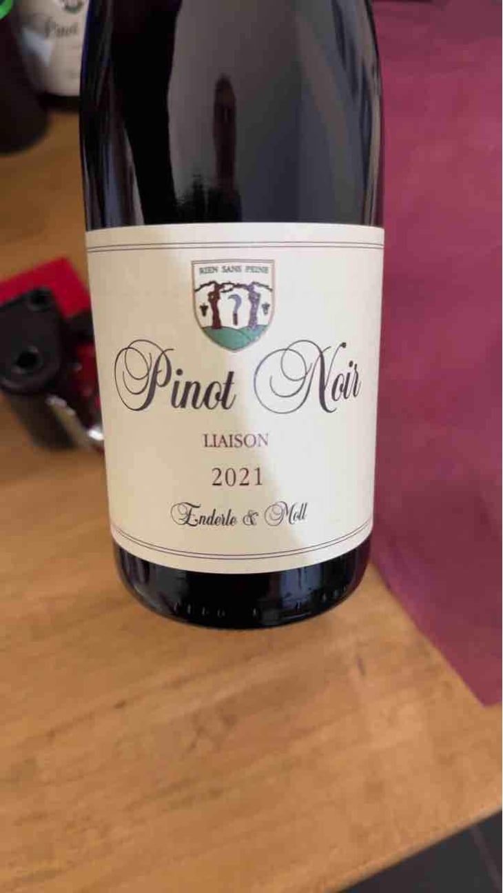 Pinot Noir - Enderle & Moll - Florian Moll & Max Lecat 