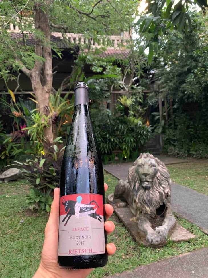 Pinot Noir - Domaine Rietsch - Jean-Pierre & Sophie Rietsch 
