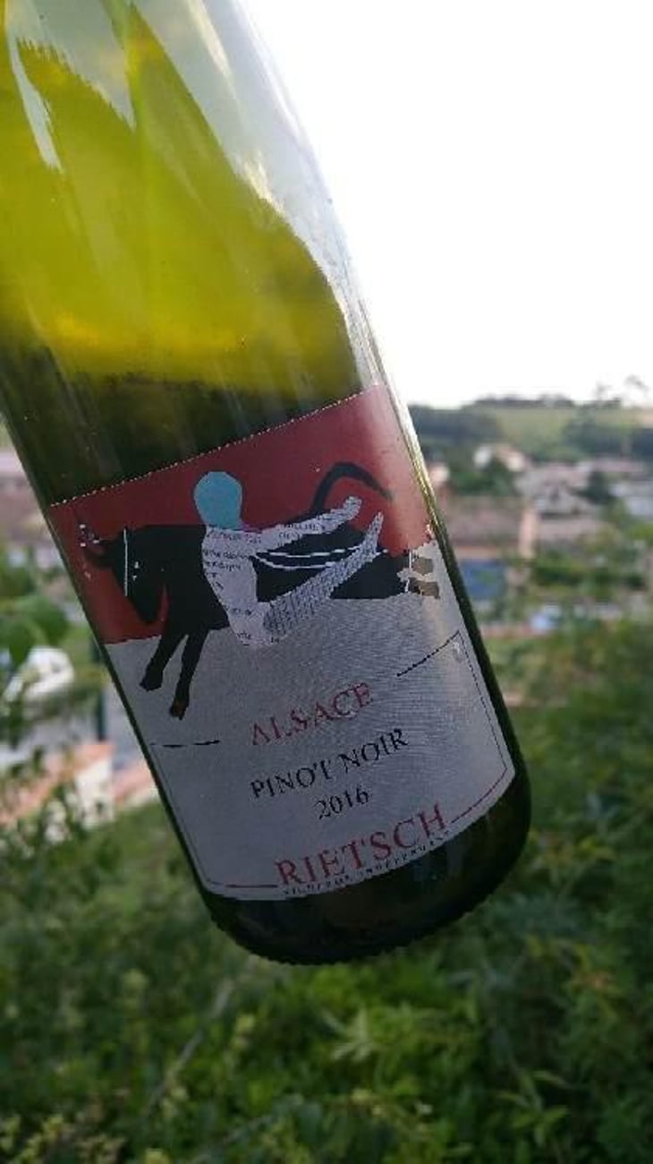 Pinot Noir - Domaine Rietsch - Jean-Pierre & Sophie Rietsch 