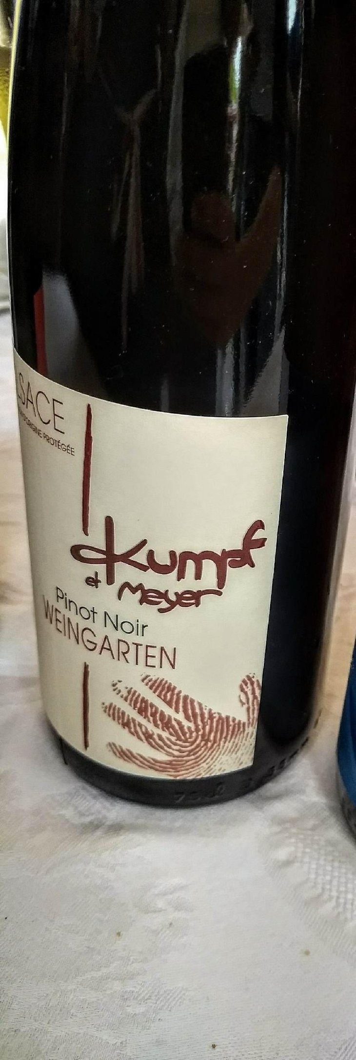 Pinot Noir Weingarten - Kumpf & Meyer - Julien Albertus 