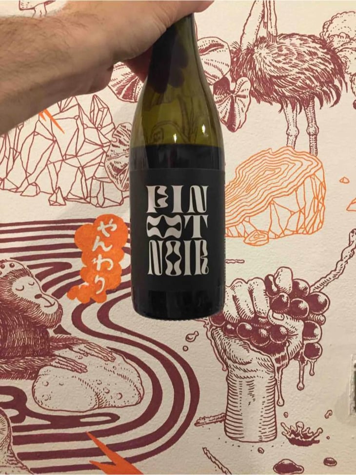 Pinot Noir - Andi Weigand - Andi Weigand 