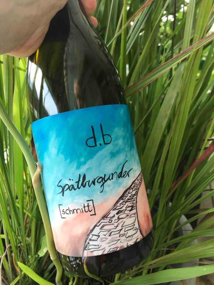 Spätburgunder - Weingut Bianka und Daniel Schmitt - Daniel & Bianka Schmitt 