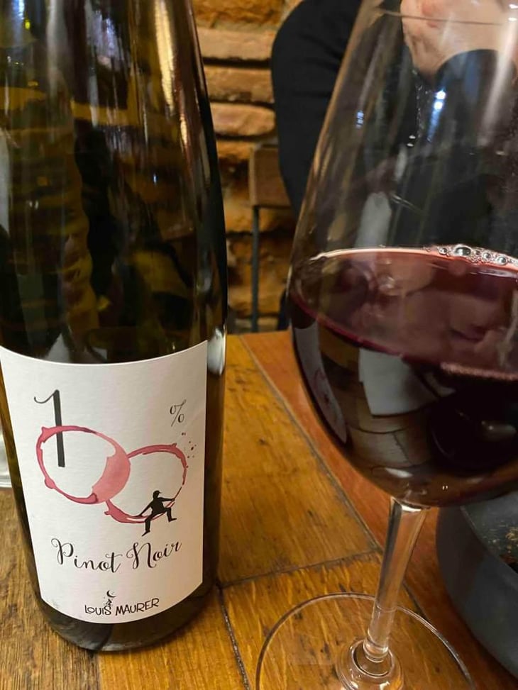 100% Pinot Noir - Louis Maurer - Louis Maurer 