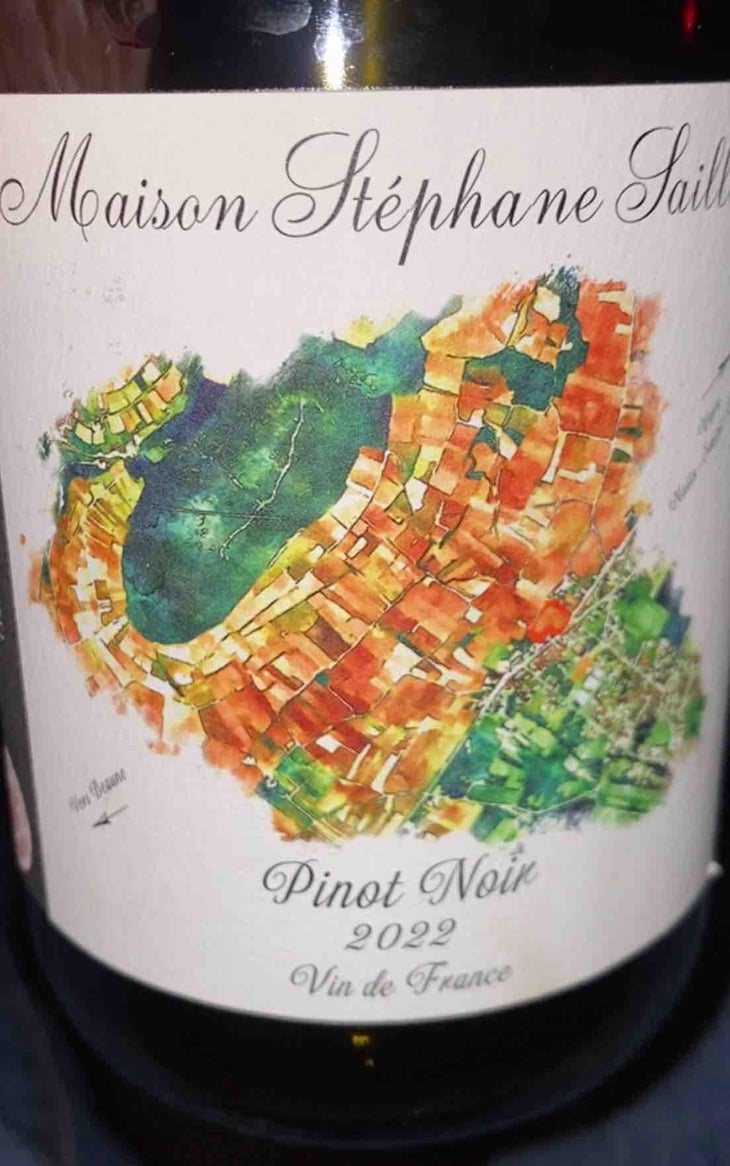 Pinot Noir - Maison Stéphane Saillet - Stéphane Saillet 