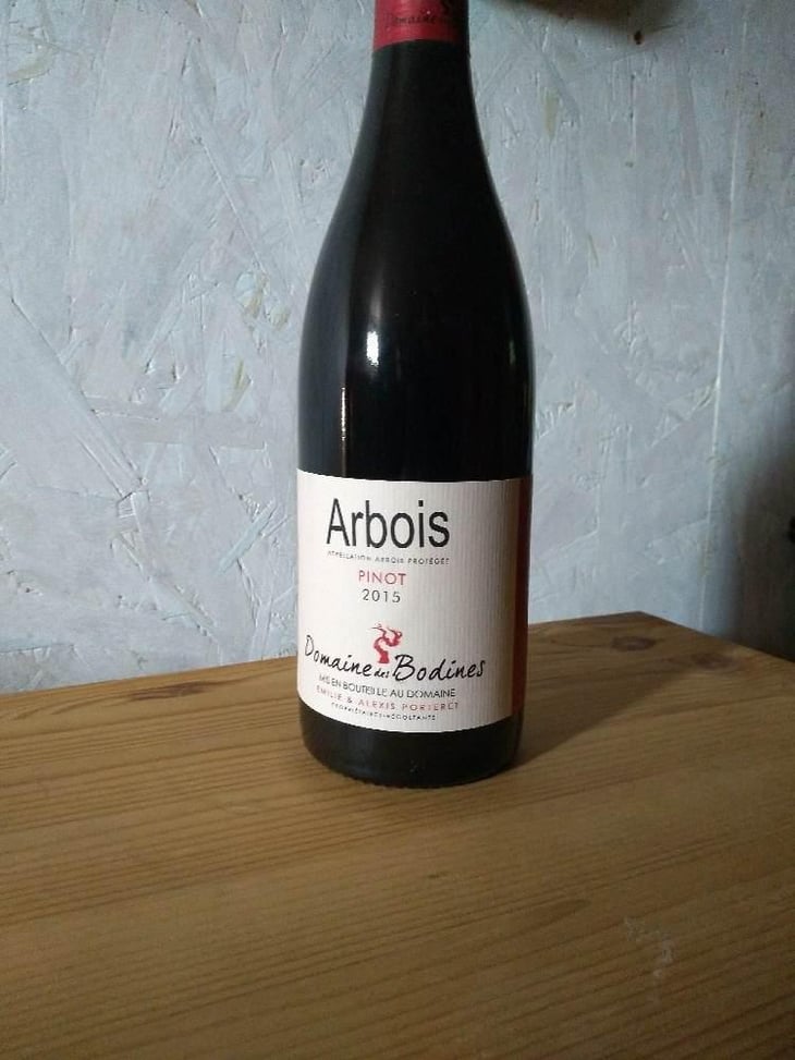 Pinot - Domaine des Bodines - Emilie & Alexis Porteret 