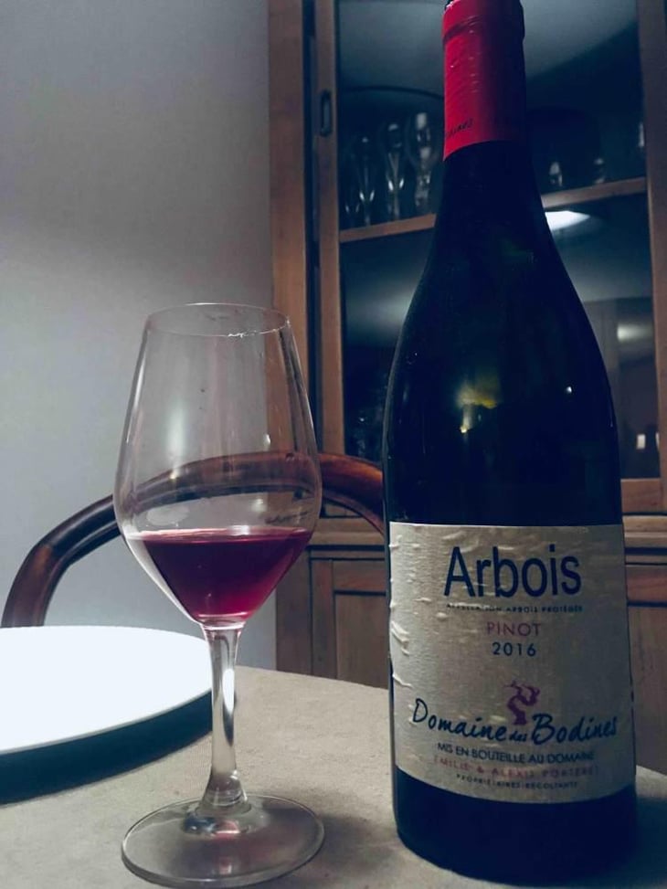 Pinot - Domaine des Bodines - Emilie & Alexis Porteret 