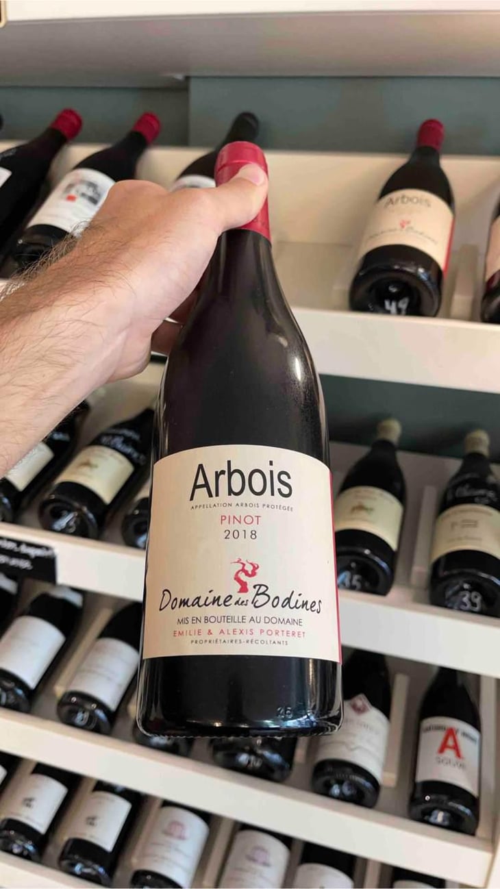 Pinot - Domaine des Bodines - Emilie & Alexis Porteret 