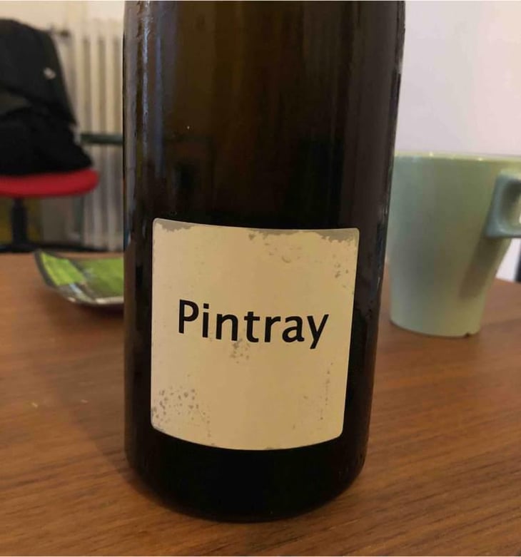 Pintray - Un Saumon Dans la Loire - Marie Thibault & Frantz Saumon 