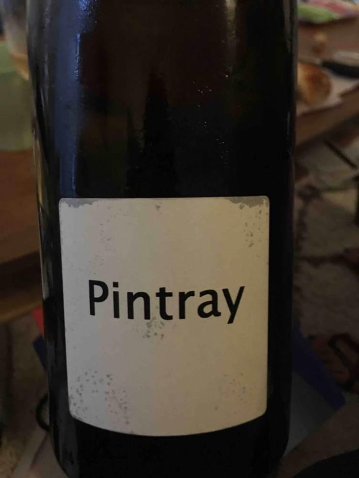 Pintray - Un Saumon Dans la Loire - Marie Thibault & Frantz Saumon 