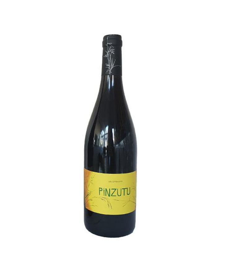 Pinzutu - Domaine de Sulauze - Karina & Guillaume Lefèvre 