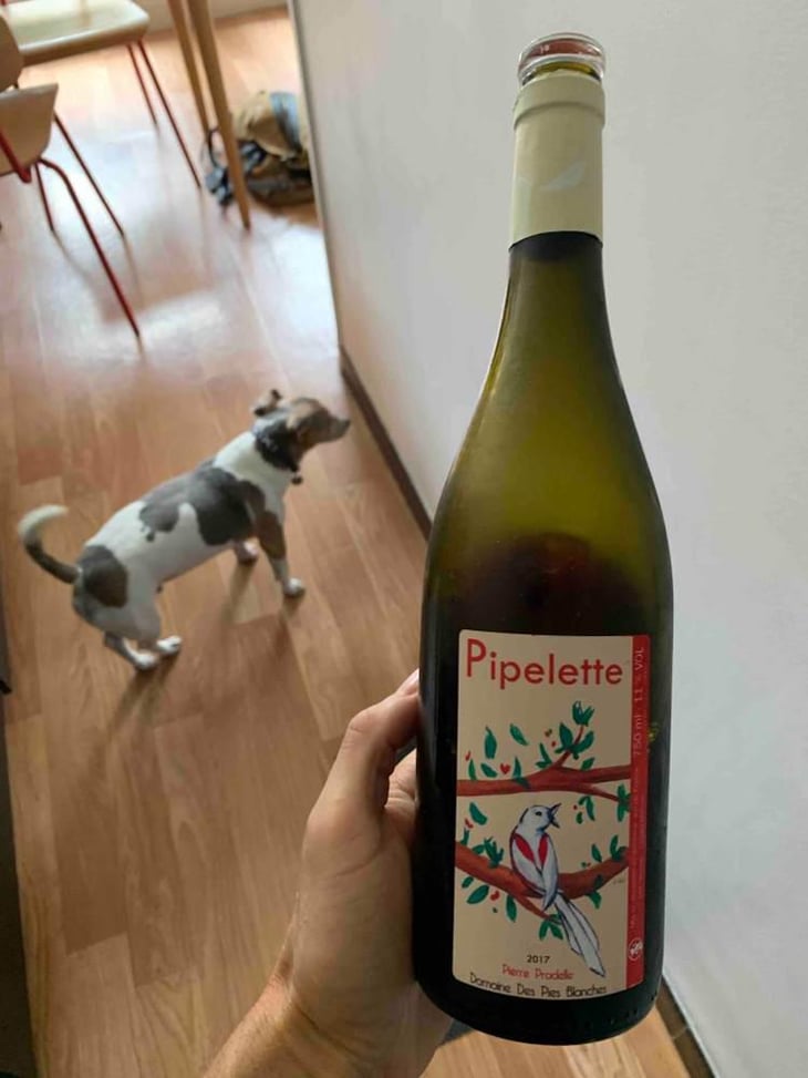 Pipelette - Domaine des Pies Blanches - Pierre Pradelle 