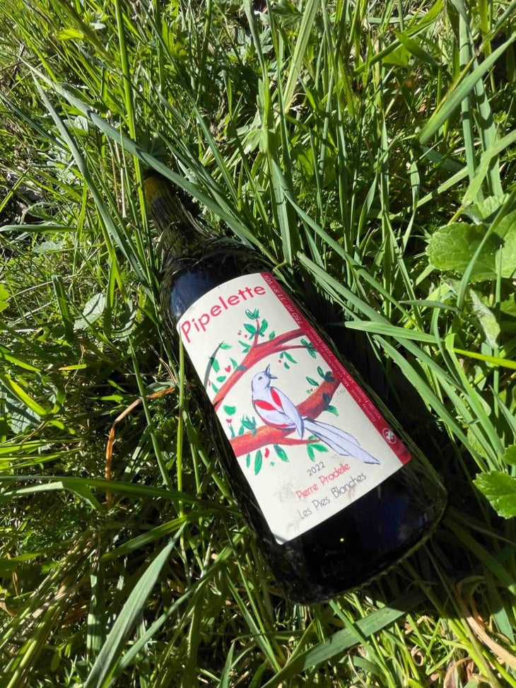 Pipelette - Domaine des Pies Blanches - Pierre Pradelle 