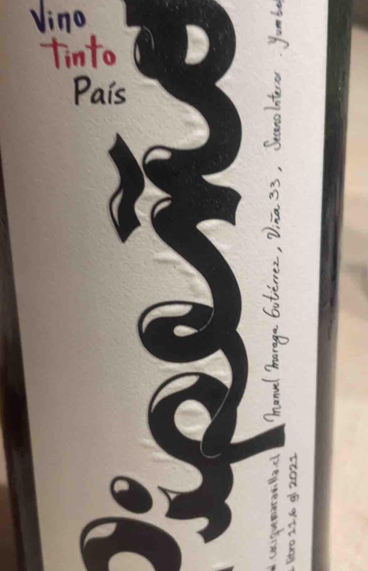 Pipeño - Cacique Maravilla - Manuel Moraga 